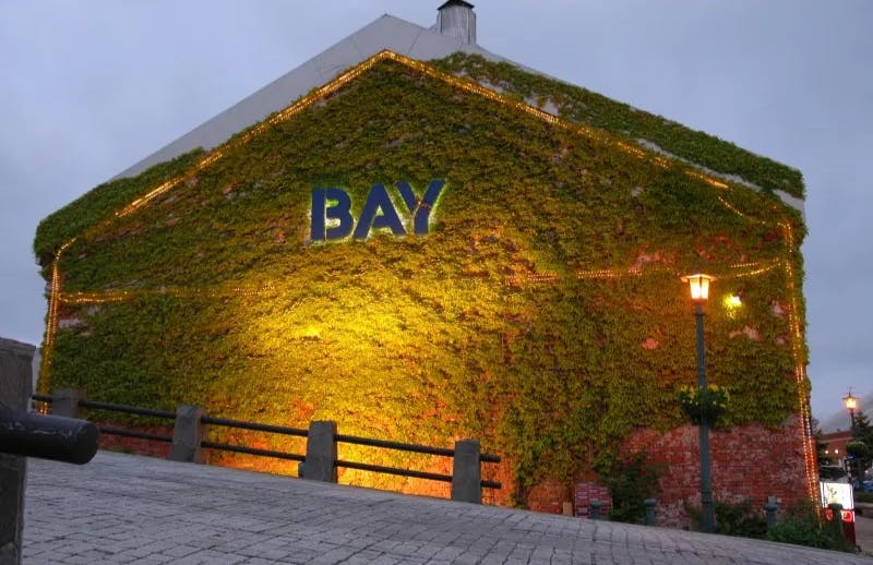 Experience the Best of Mt. Hakodate's Night View: Goryokaku and Yunokawa