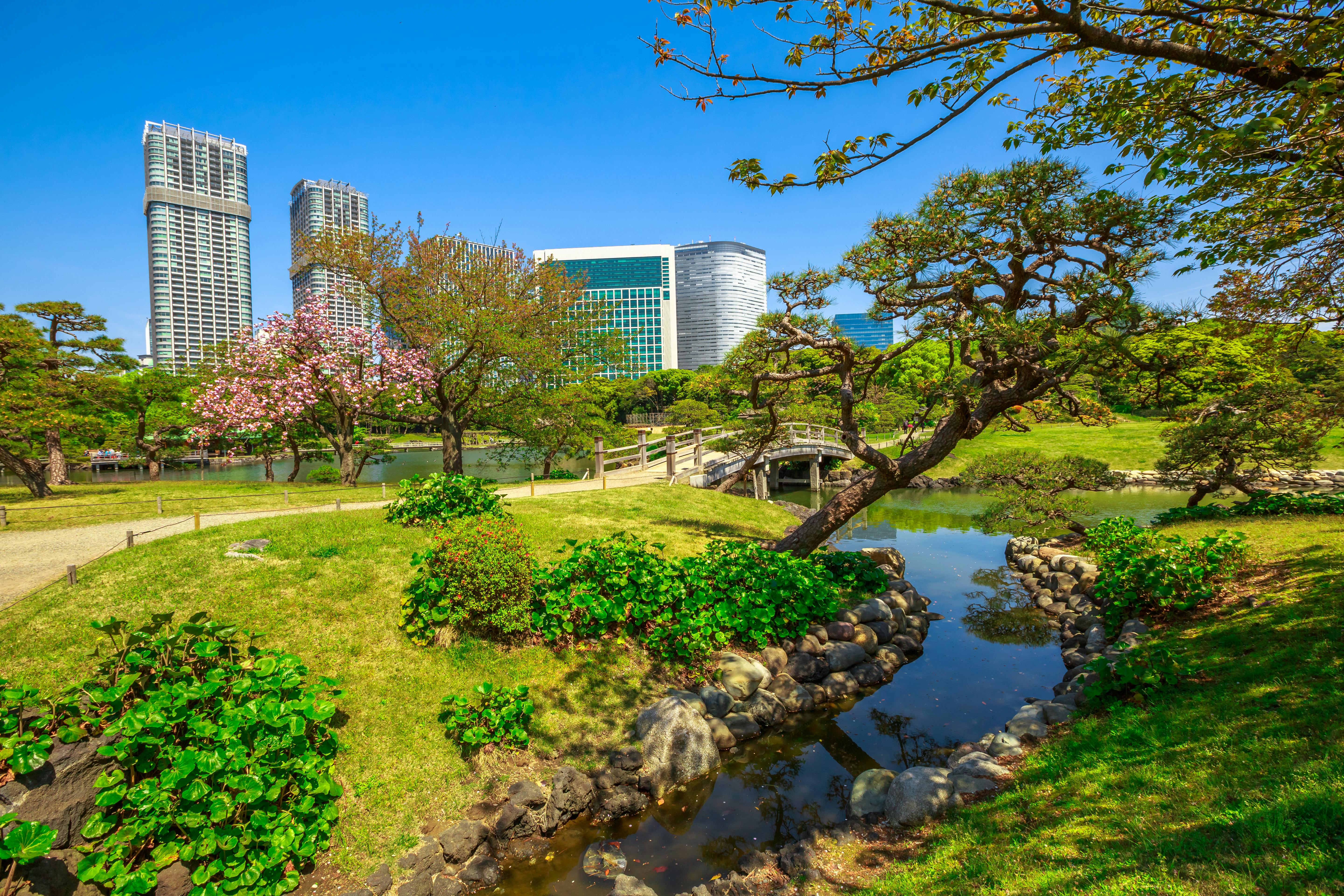 Hama Rikyu Gardens - Trip To Japan