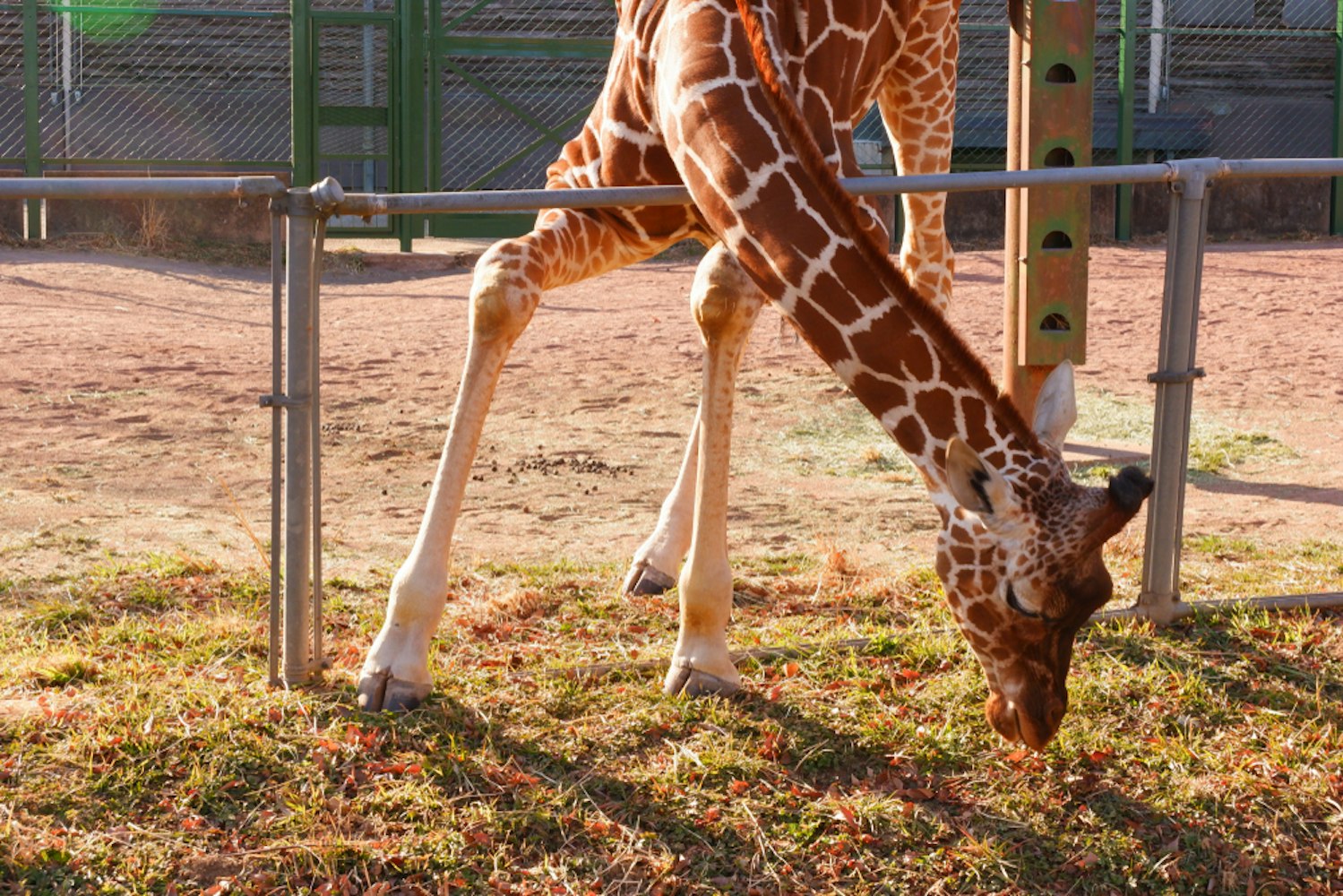 Saitama Children's Zoo and Nature Park