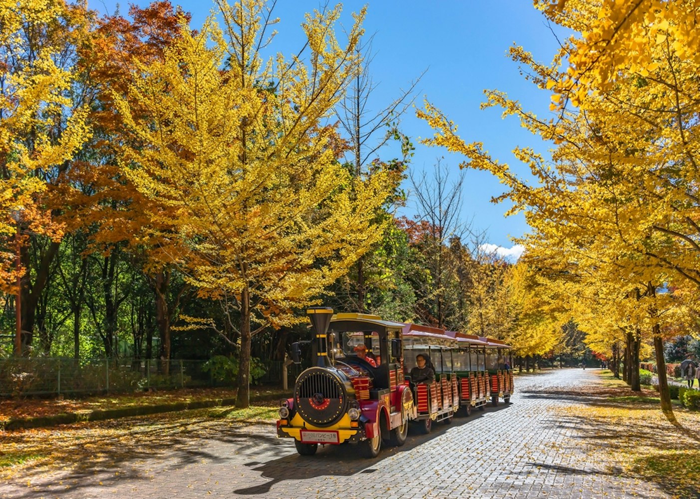 Chichibu Muse Park