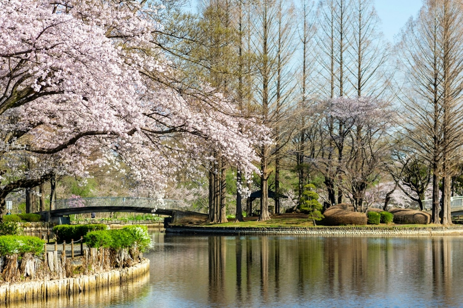 Ageo Maruyama Park