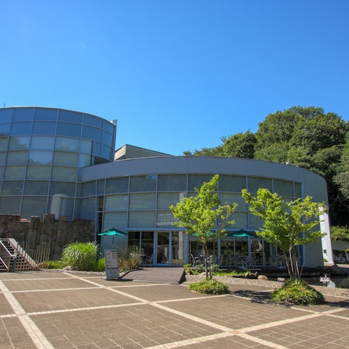 Kawasaki's Cultural Side Museums, Art, and History