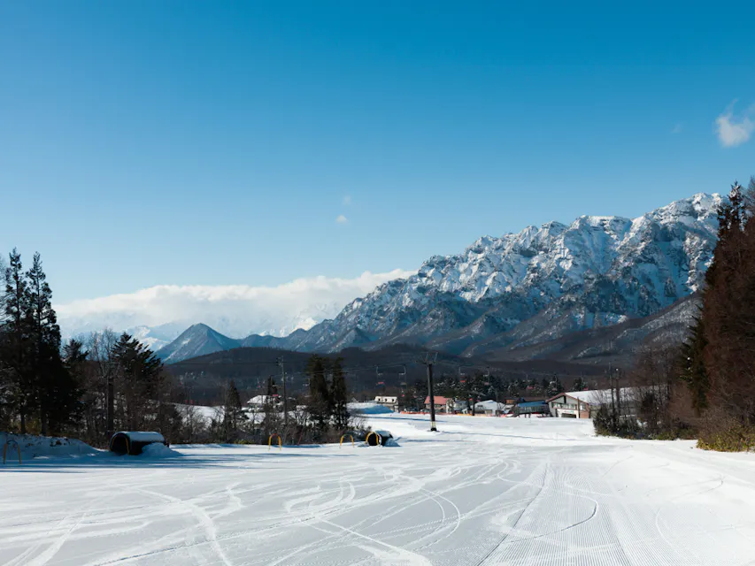 Skiing at Togakushi Ski Resort A snowy landscape featuring a ski resort at the base of snow-capped mountains under a clear blue sky. There are ski tracks in the foreground and several buildings scattered in the distance, framed by trees on either side.