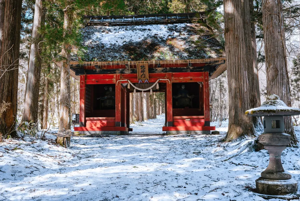 Togakushi Shrine A traditional Japanese shrine gate with red wooden pillars and a thatched roof stands amid tall trees. Snow covers the ground and shrine roof, creating a serene winter scene. A stone lantern sits to the right of the gate.