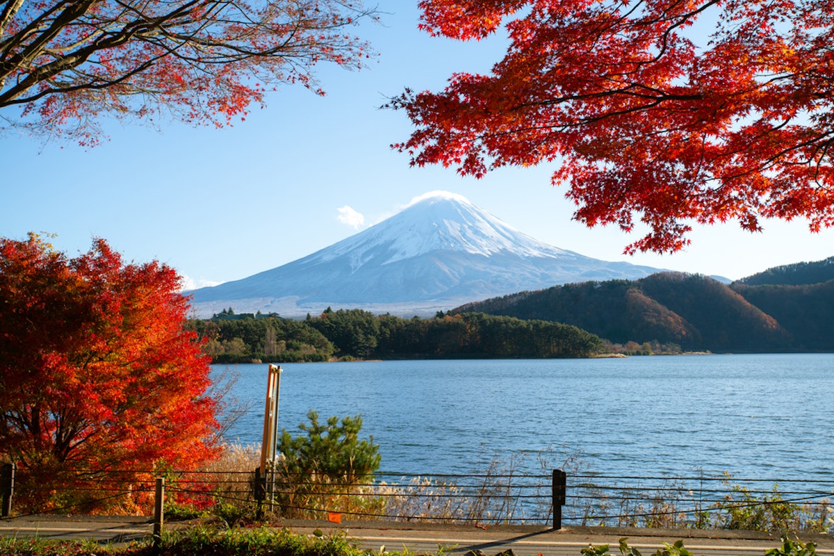 Fuji Five Lakes Mount Fuji with a snow-capped peak is seen in the background under a clear blue sky. In the foreground, vibrant red autumn leaves frame the scene. A serene lake rests between the mountain and the viewer, and a partially visible road borders the lake.