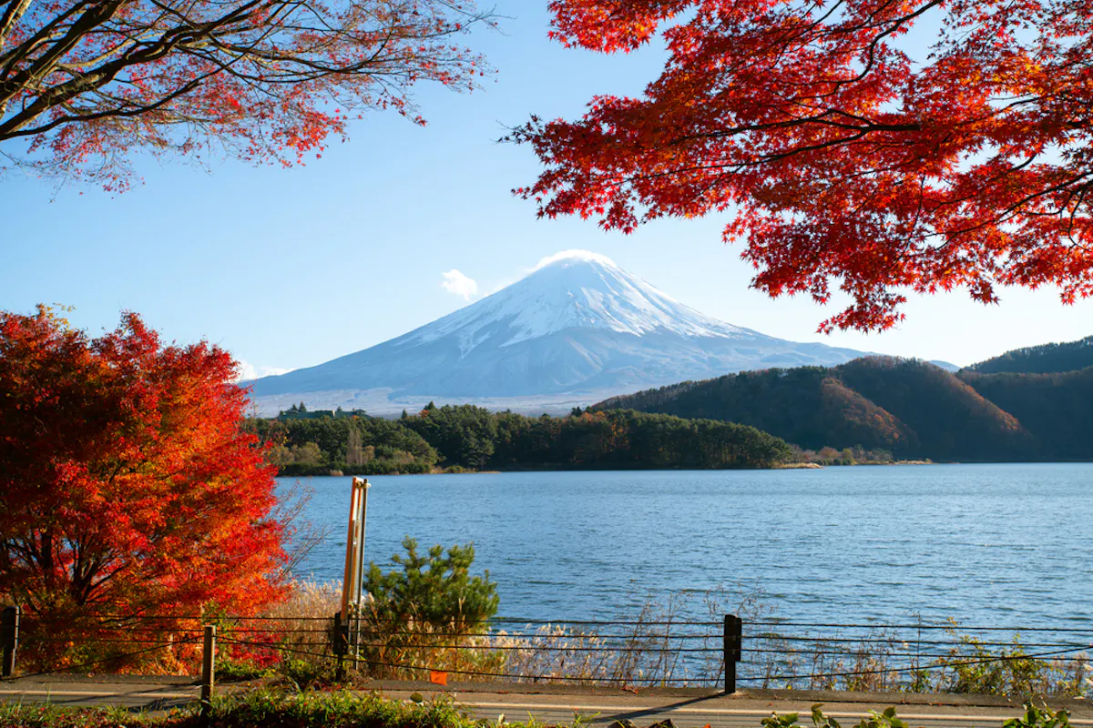 Fuji Five Lakes Mount Fuji with a snow-capped peak is seen in the background under a clear blue sky. In the foreground, vibrant red autumn leaves frame the scene. A serene lake rests between the mountain and the viewer, and a partially visible road borders the lake.