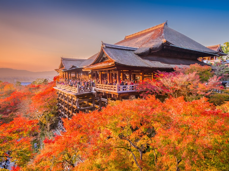 京都を探索:スカイホップバス・ホップオン・ホップオフチケット