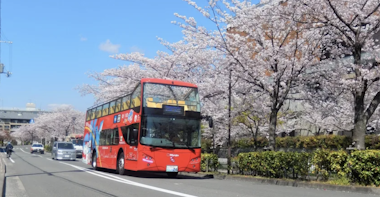 Kyoto Bus Tour