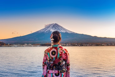 Mount Fuji View