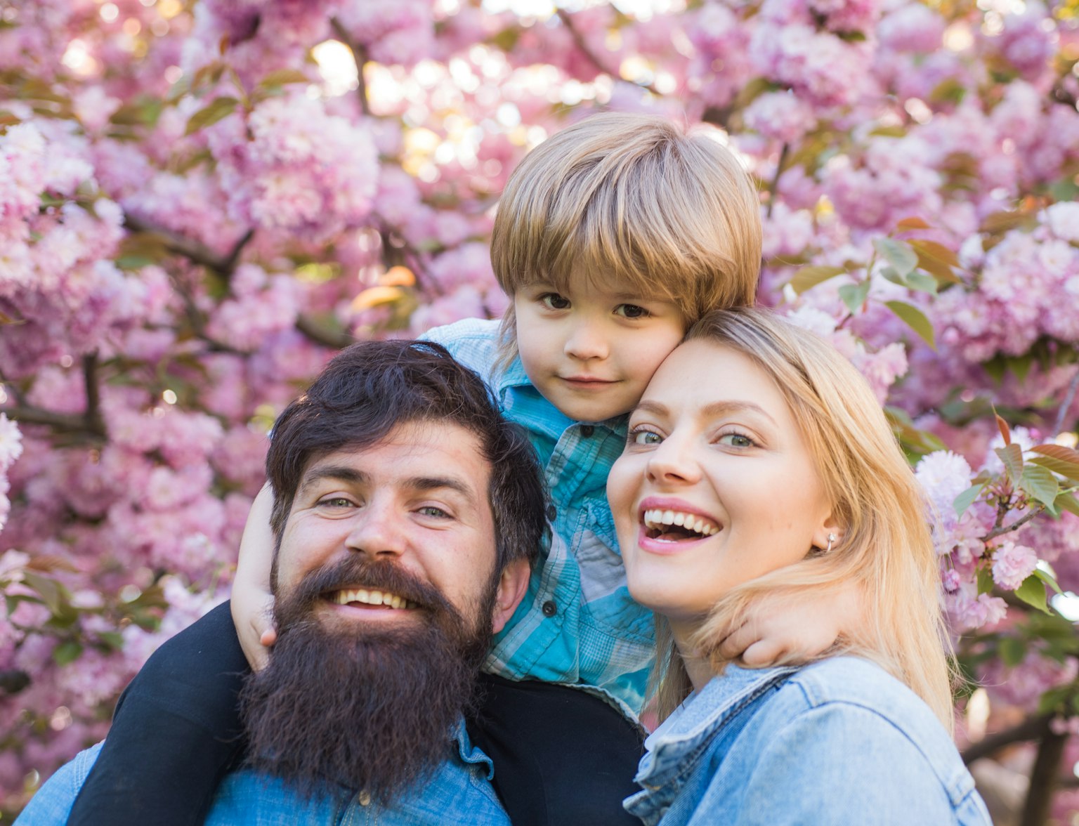 Japan Family Cherry Blossoms Tour Japan Family Cherry Blossoms Tour