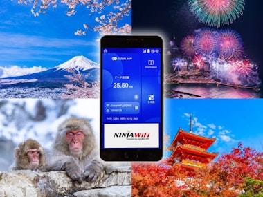 Japan Pocket Wifi Rental
