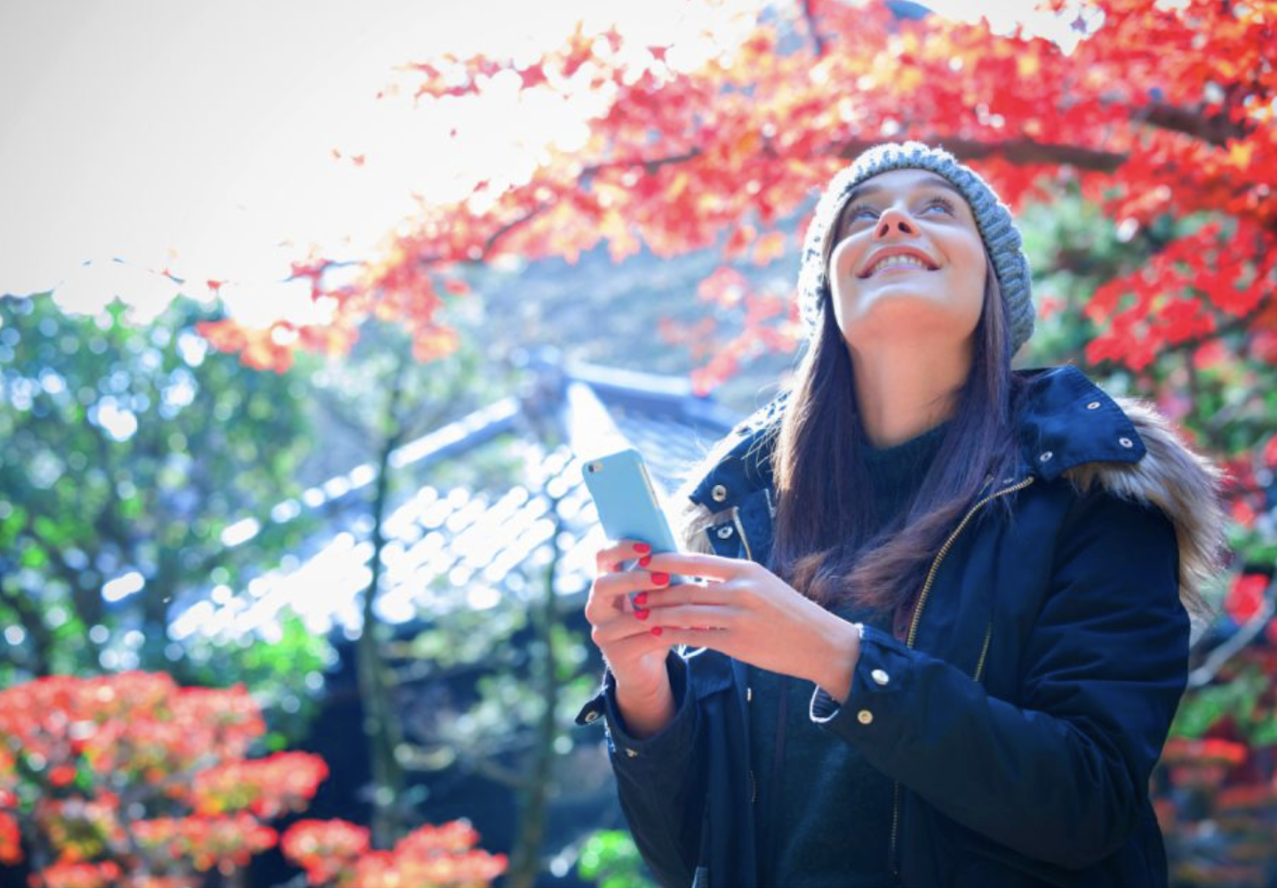 Japan Pocket Wifi Rental