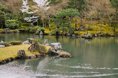 Tenryuji Temple