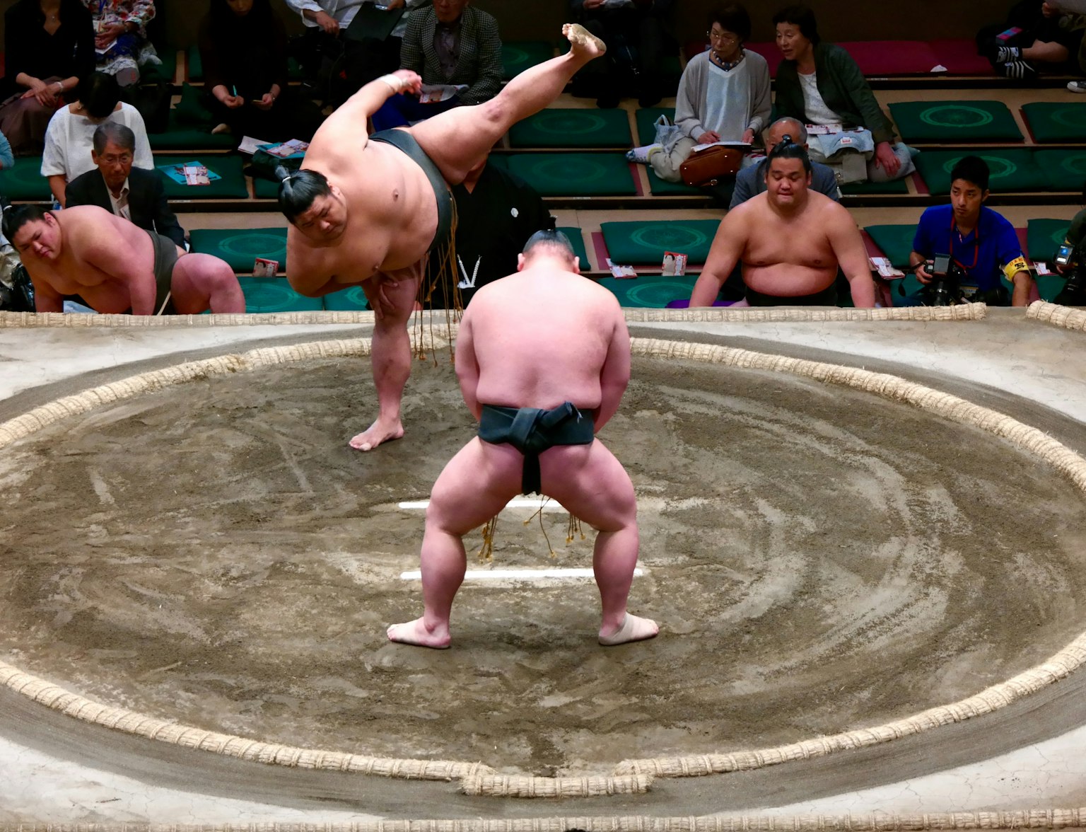 Sumo Wrestlers Sumo Wrestlers