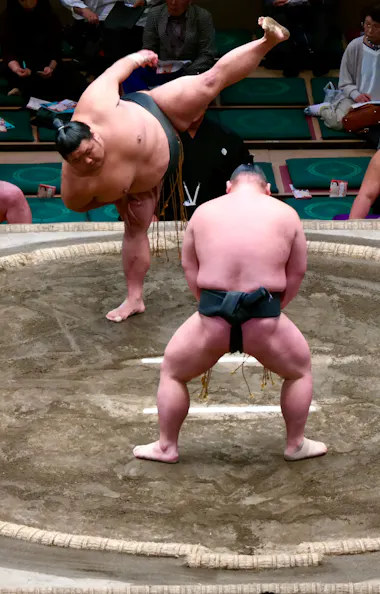 Sumo Wrestlers Two sumo wrestlers compete in a ring as one lifts his leg high before charging, surrounded by other wrestlers, officials, and audience members watching the match.