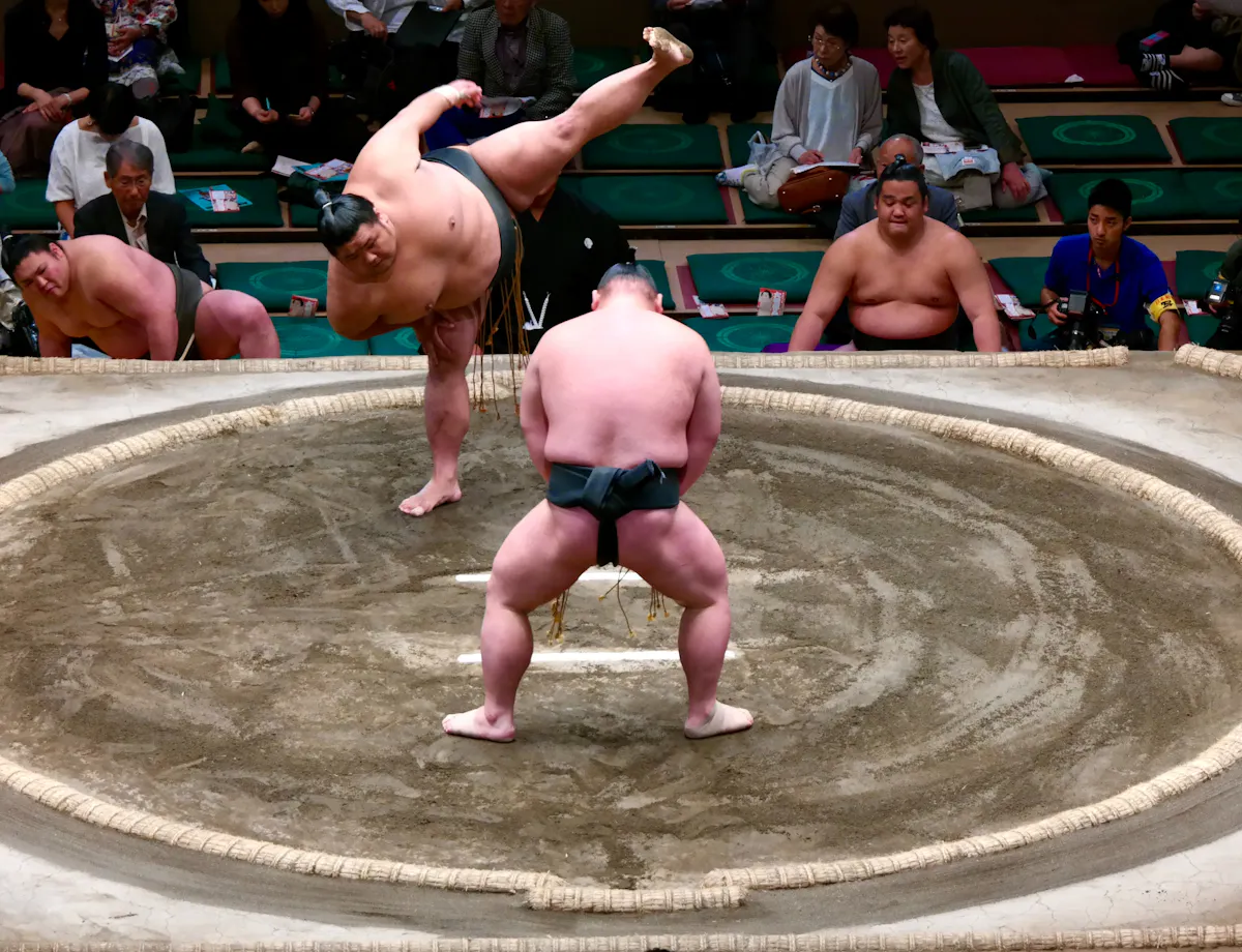 Sumo Wrestlers Two sumo wrestlers compete in a ring as one lifts his leg high before charging, surrounded by other wrestlers, officials, and audience members watching the match.
