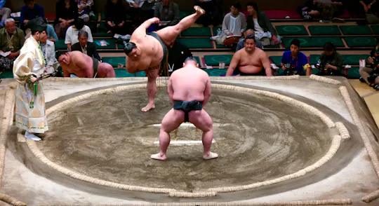 Two sumo wrestlers compete in a ring as one lifts his leg high before charging, surrounded by other wrestlers, officials, and audience members watching the match.