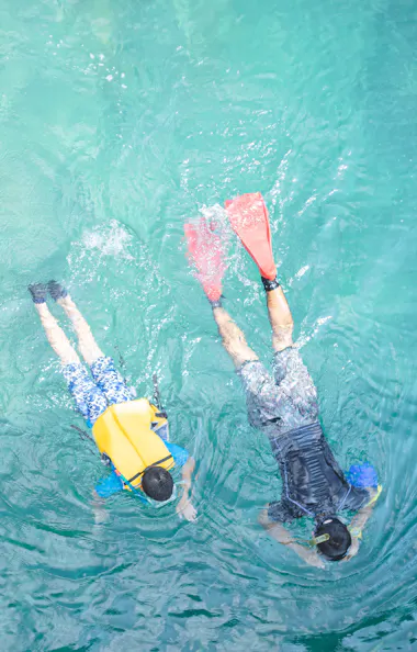 Snorkeling Snorkeling