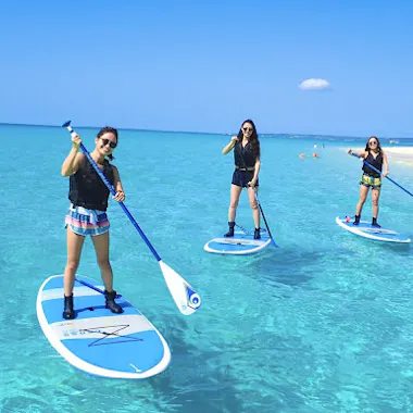 Stand Up Paddleboarding Stand Up Paddleboarding