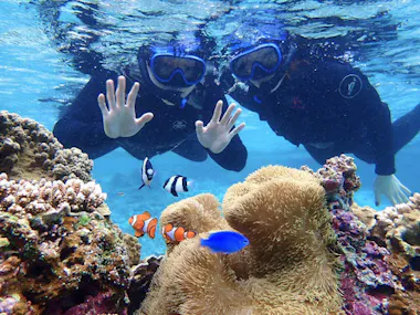 Snorkeling