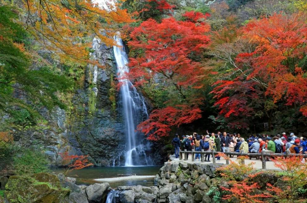How to Take a Day Trip to Minoh Park - Trip To Japan