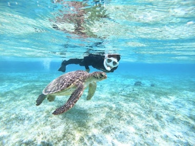 Snorkeling