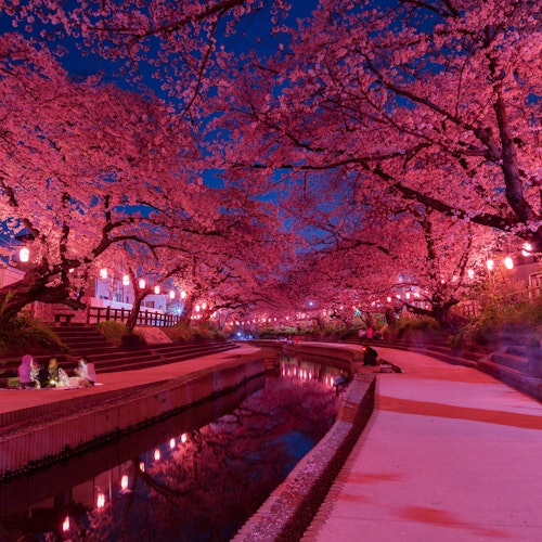 Tokyo's Twilight Charm Discovering the Magic of Yozakura Tokyo's Twilight Charm Discovering the Magic of Yozakura