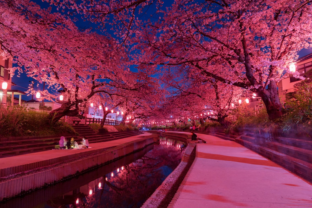ゆかた夜桜風 そしてゆめ 30