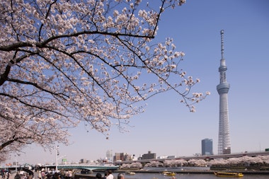 Sumida Park