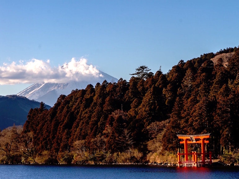 Private Hakone Tour - View of Mt. Fuji, Nature and Culture