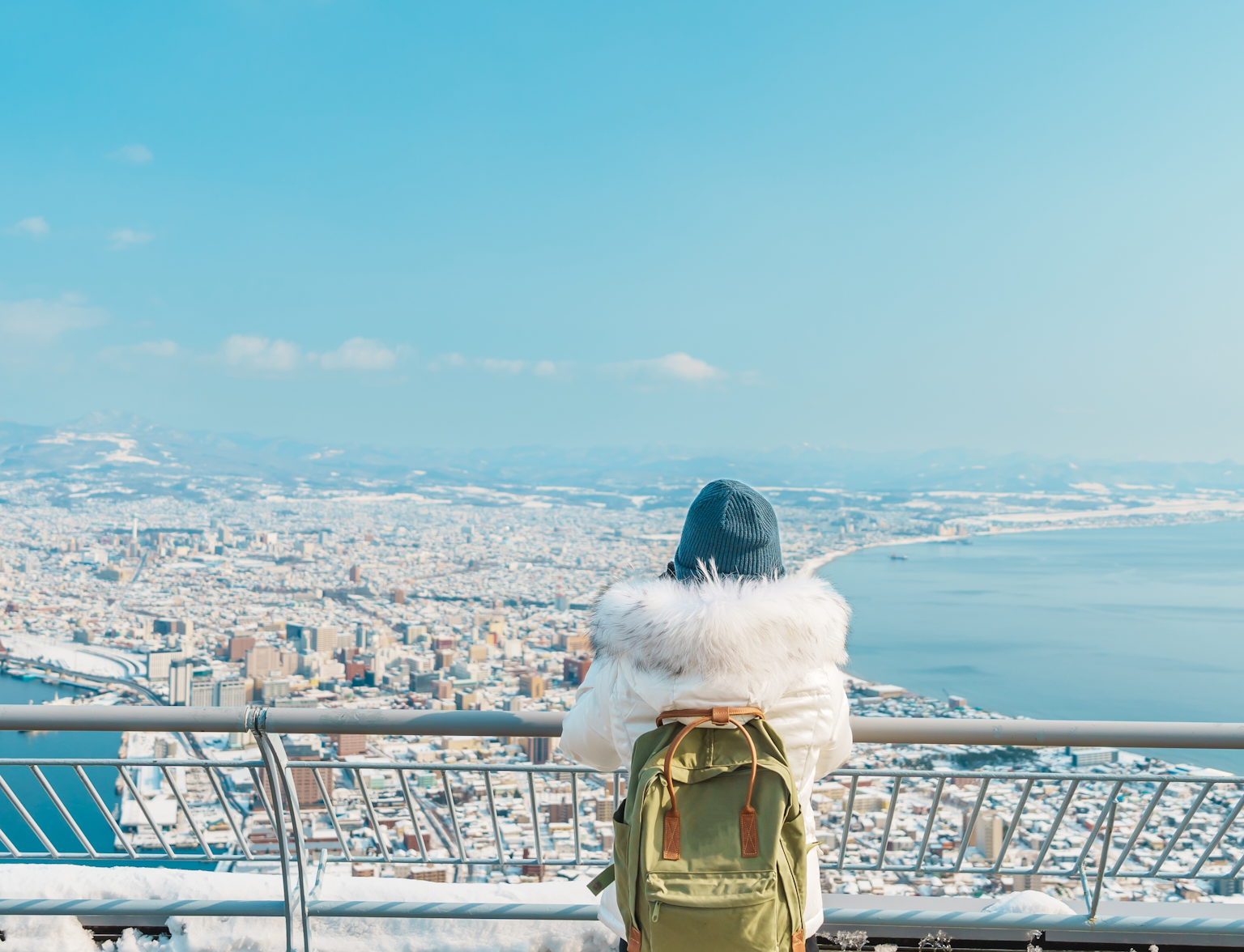 View of Hakodate