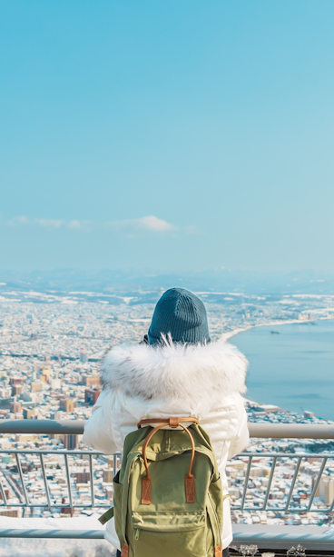 View of Hakodate