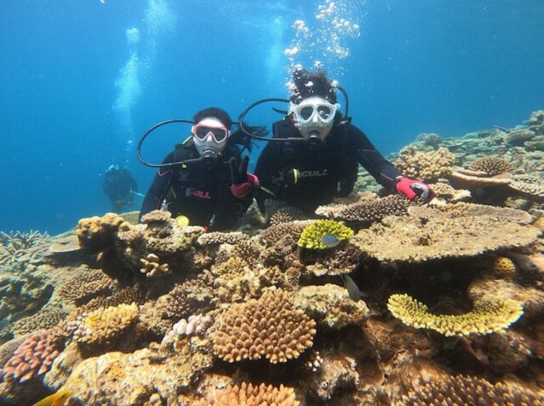 Okinawa Minna Island & Sesoko Island Trial Boat Dive Experience - 1 Dive