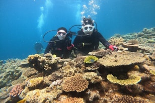 Okinawa Diving