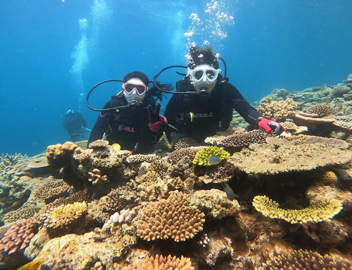 Okinawa Diving Okinawa Diving