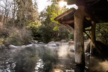 A steaming hot spring surrounded by rocks and lush trees, with sunlight filtering through the branches and a rustic wooden shelter at the water’s edge.