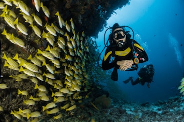 Okinawa Diving