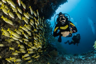 Okinawa Diving