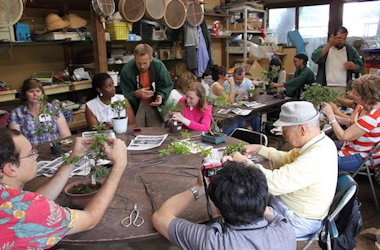 Bonsai Workshop