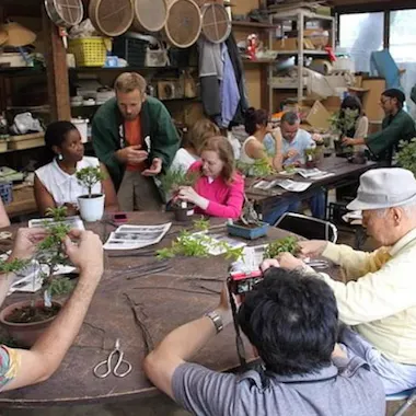 Bonsai Workshop Bonsai Workshop