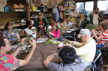 Bonsai Workshop