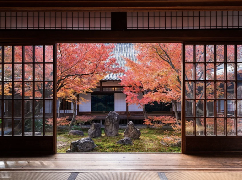ガイド付きウォーキングツアーで京都の芸妓地区を深く探る