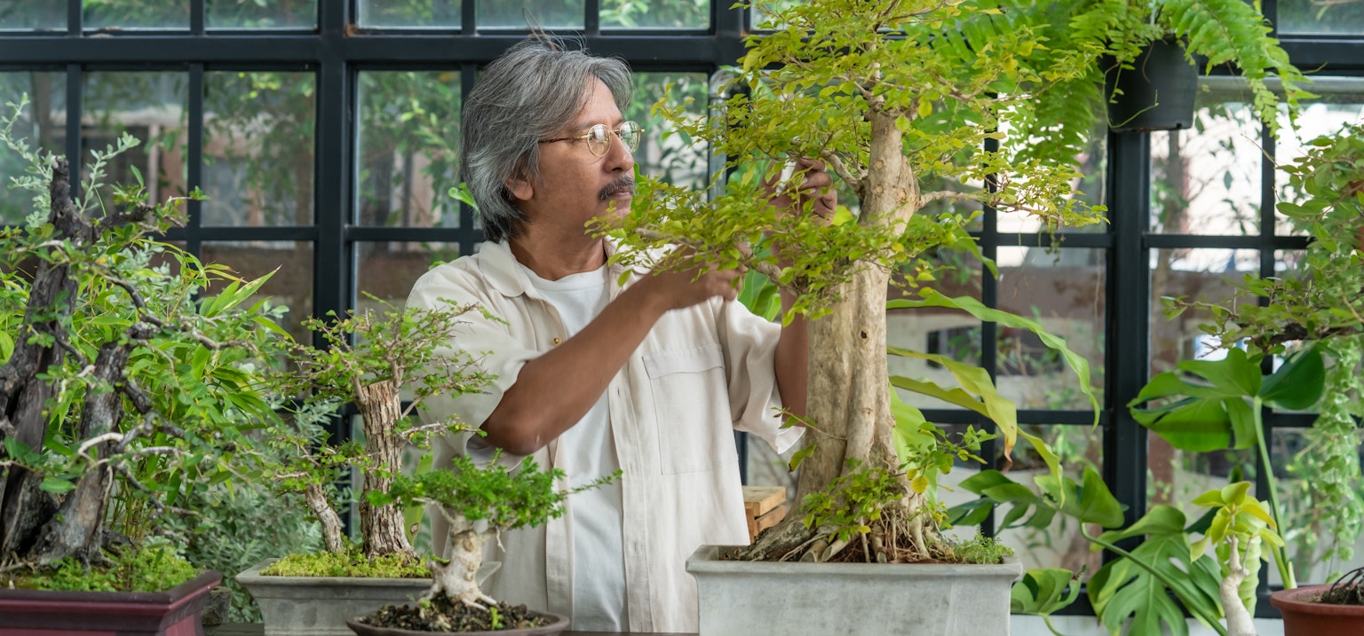 Bonsai Workshop