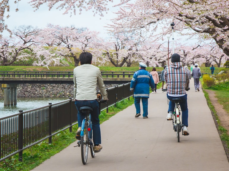 奈良自転車ツアー:自然の中心