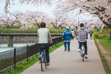 Nara Bicycle Tour