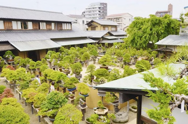 Edo Tokyo Walking Tour