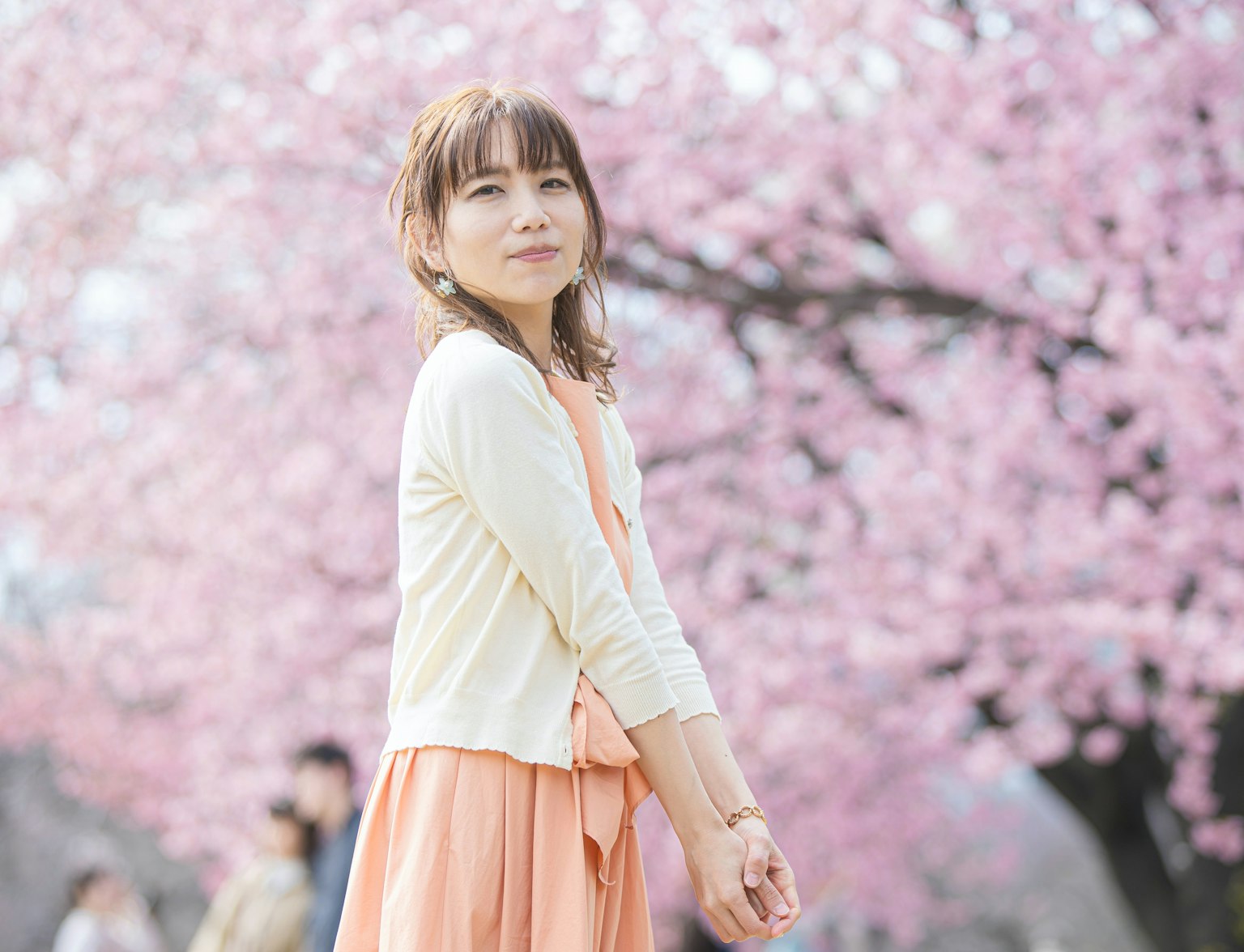 Yoshino Cherry Blossoms Yoshino Cherry Blossoms