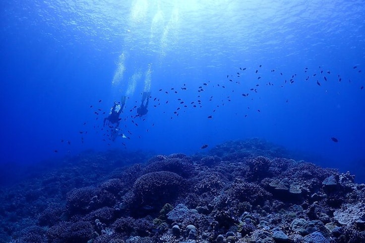 Okinawa Diving