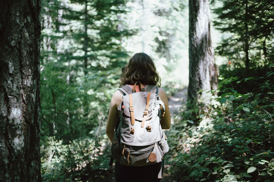 A person with shoulder-length hair is seen from behind walking through a forested area carrying a large backpack. They are surrounded by tall trees and dense greenery, with sunlight filtering through the canopy above.