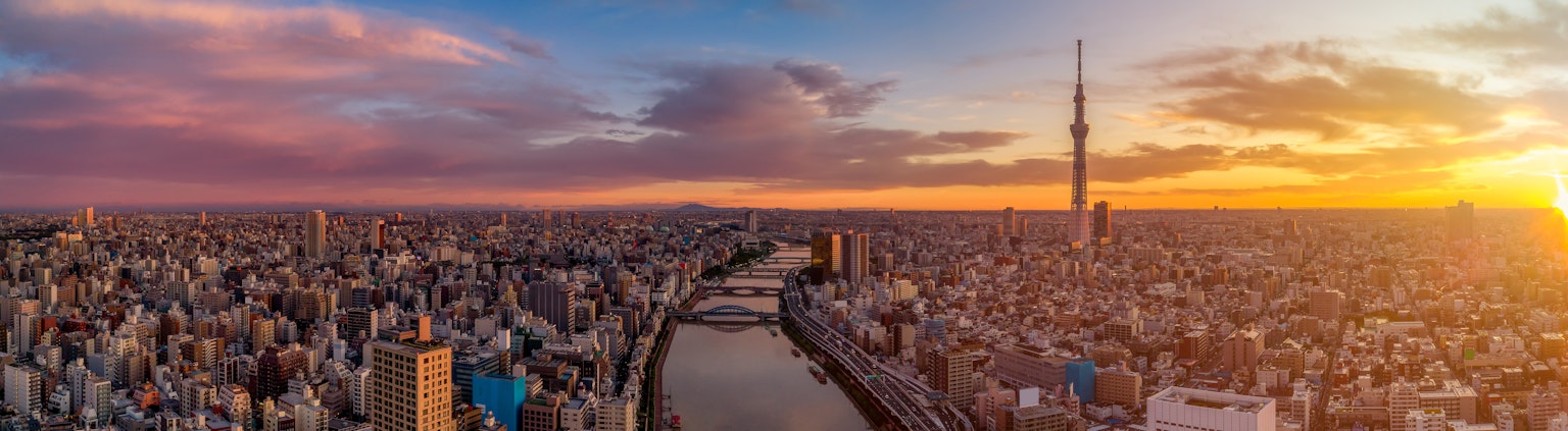 Tokyo Cityscape